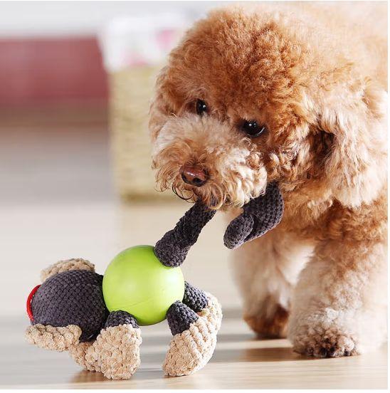 Mari kita bongkar keajaiban mainan haiwan peliharaan